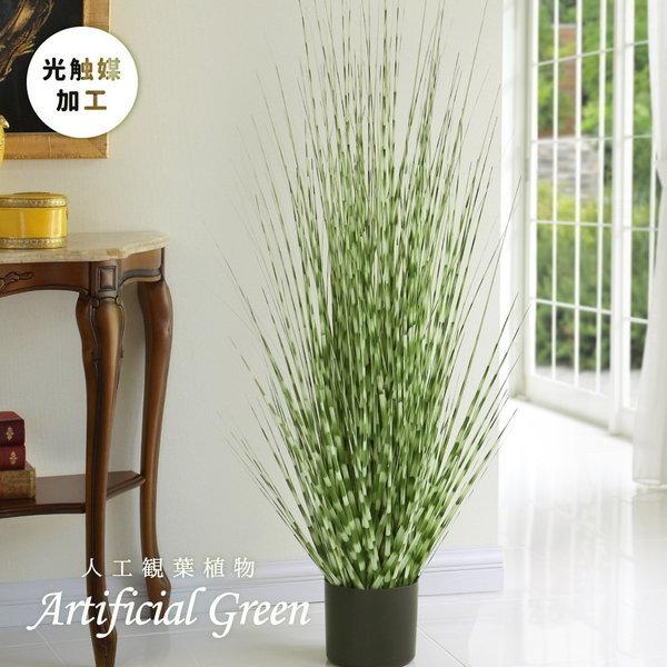 人工観葉植物 フェイクグリーン ゼブラグラス Mサイズ 光触媒 おしゃれ インテリア 造花 1008 x3 カナエミナ 通販 Yahoo ショッピング
