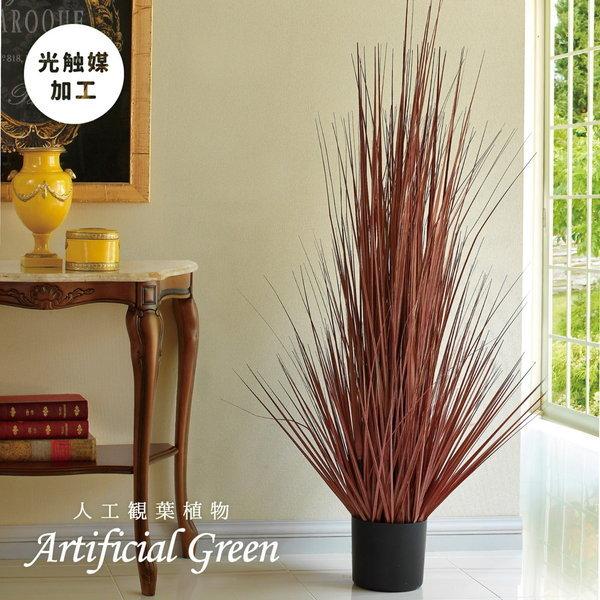 人工観葉植物 フェイクグリーン レッドグラス Mサイズ 光触媒 おしゃれ インテリア 造花 1008 x3 カナエミナ 通販 Yahoo ショッピング