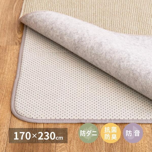 ~߃V[g h}bg A_[O Ỏɕ~}bg 170×230cm  ~ ~ h_j RۖhL h