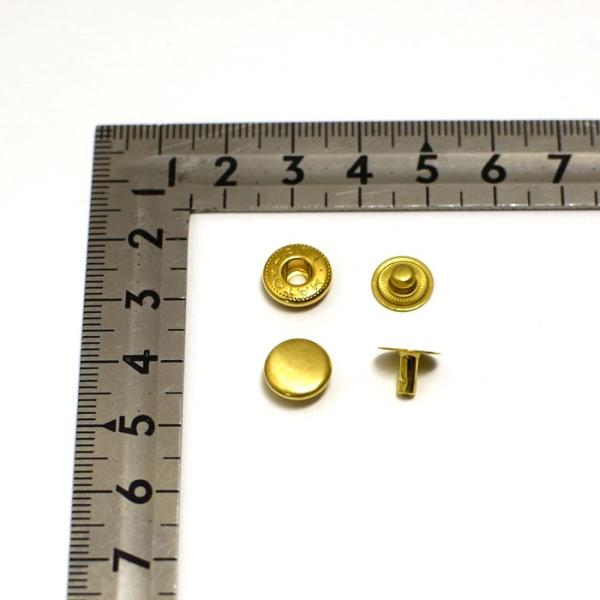 olzbN  ( No.1 zbN ) ^JC(ndグ) 50gZbg b {  U[Ntg |  Ntg p[c  nhCh {^