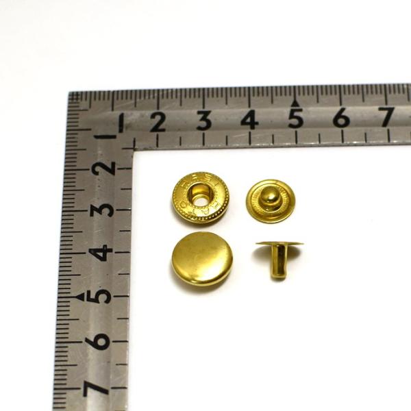 olzbN ( No.5 zbN ) ^JC(ndグ) 50gZbg b {  U[Ntg |  Ntg p[c  nhCh {^