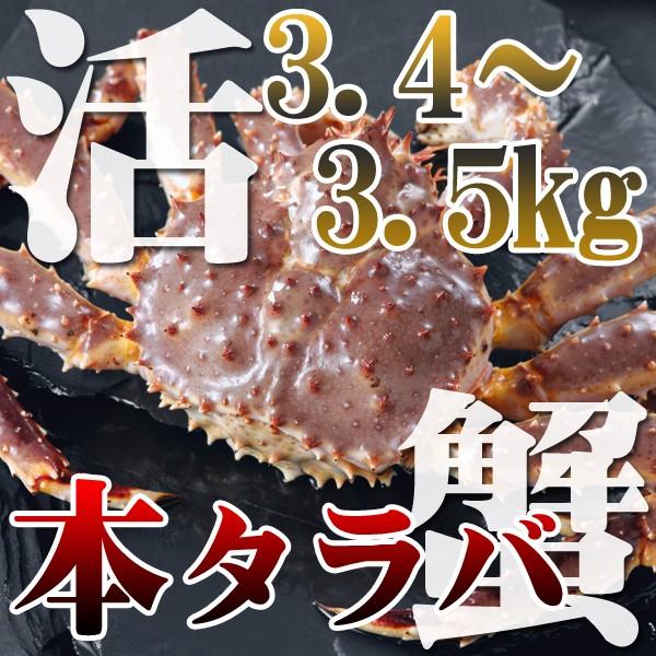 カニ かに 蟹 活 本タラバガニ 3 4 3 5kg 未冷凍 即納 送料無料 北海道特産 ギフト お歳暮 お正月 年末年始 Www Cianilugano Ch