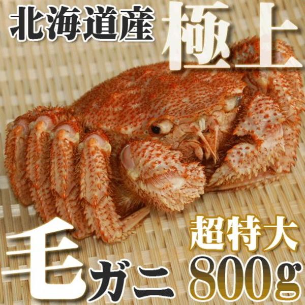 カニ かに 毛ガニ 800g 超特大 極上 毛ガニ 北海道産 活目900g ボイル冷凍 北海道特産 即納 グルメ ギフト お歳暮 お中元 年末年始 :1337:カニのデパート かなはし水産 - 通販 - Yahoo!ショッピング カニ かに 毛ガニ 800g 超特大 極上 毛ガニ 北海道産 活目900g ボイル冷凍 北海道特産 即納 グルメ ギフト お歳暮 お中元 年末年始 :1337:カニのデパート かなはし水産 - 通販 - Yahoo!ショッピング