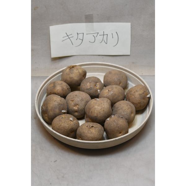 ジャガイモの種芋の量り売りです。食味に優れた品種です。煮崩れはしやすいジャガイモ