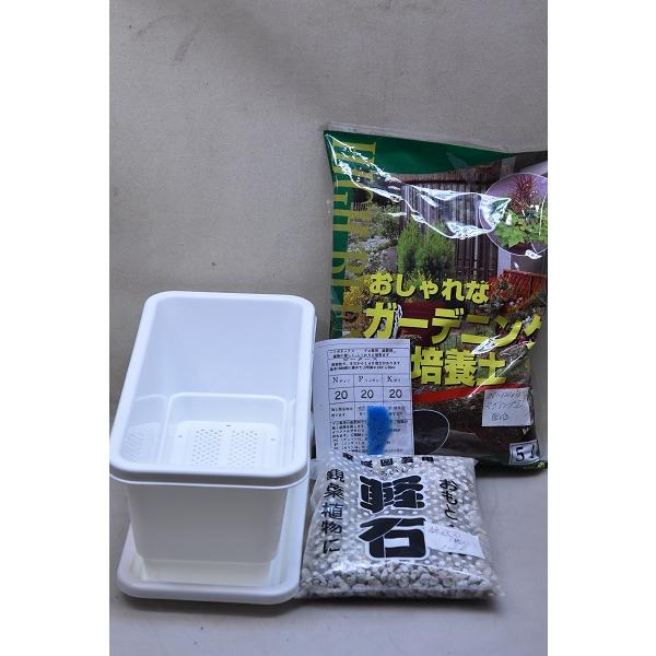 38cmミニプランターと花の野菜の培養土5リットル、（マグアンプII配合）鉢底石（軽石）1.2リットルのセットで、お好みの苗を別途購入すれば植え付けに必要な分のプランターと用土がセットさせています。栽培する花や野菜によって植え付け可能個数が...