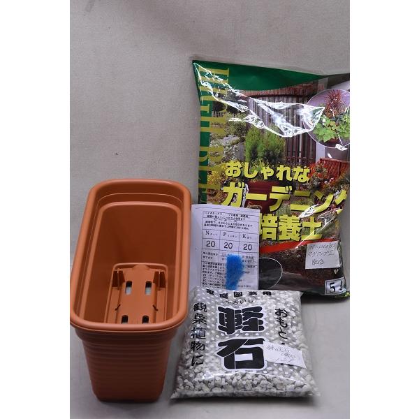 38cmミニプランターと花の野菜の培養土5リットル、（マグアンプII配合）鉢底石（軽石）1.2リットルのセットで、お好みの苗を別途購入すれば植え付けに必要な分のプランターと用土がセットさせています。栽培する花や野菜によって植え付け可能個数が...