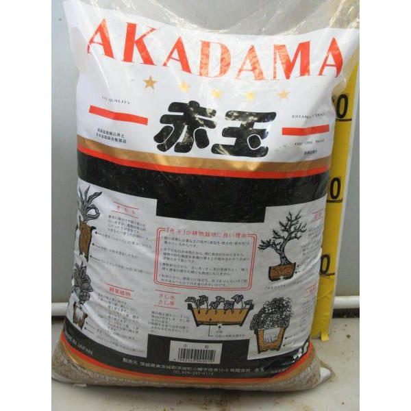 硬質 赤玉土 13ｌ 小粒 培養土 園芸土 E 864 金井園芸 通販 Yahoo ショッピング