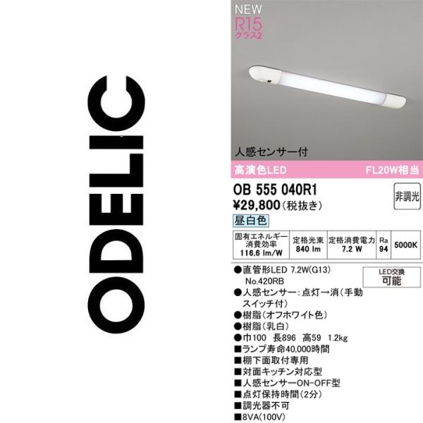 ODELIC（オーデリック） OB555040R1 ランプ別梱包【OB555040R の代替品