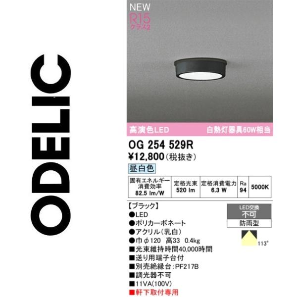 ODELIC（オーデリック） OG254529R LEDポーチライト Σ : 住設建材