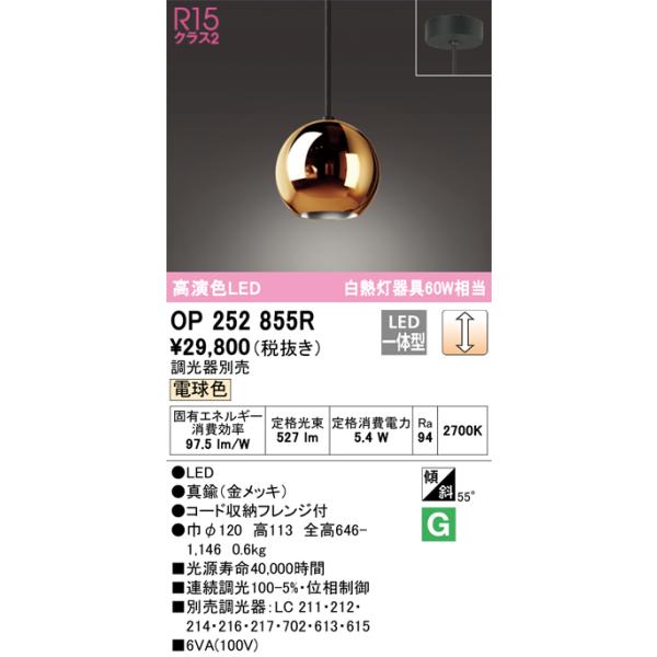 A様オーダーページ 252858rr.jpg