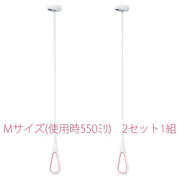  NASTA iX^ KS-NRP020-MM-WR GAt[v MTCY 2{Zbg zCgbh gpS550~ V䉺nt^Cv AirHoop  yrh7