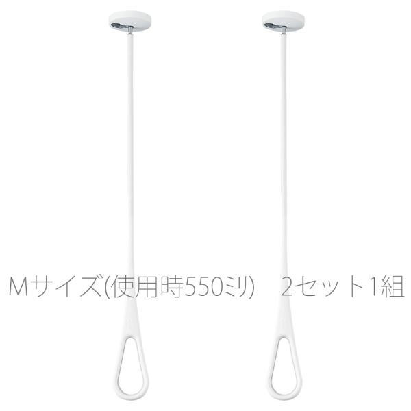  NASTA iX^ KS-NRP020-MM-WGR GAt[v MTCY 2{Zbg zCgO[ gpS550~ V䉺nt^Cv AirHoop  yrh7