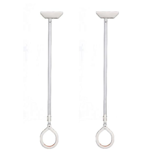 _hz[NGCg SK-AT-2 V݌^ 2{Zbg 1Zbg(2{)̔  Va Shinkyowa