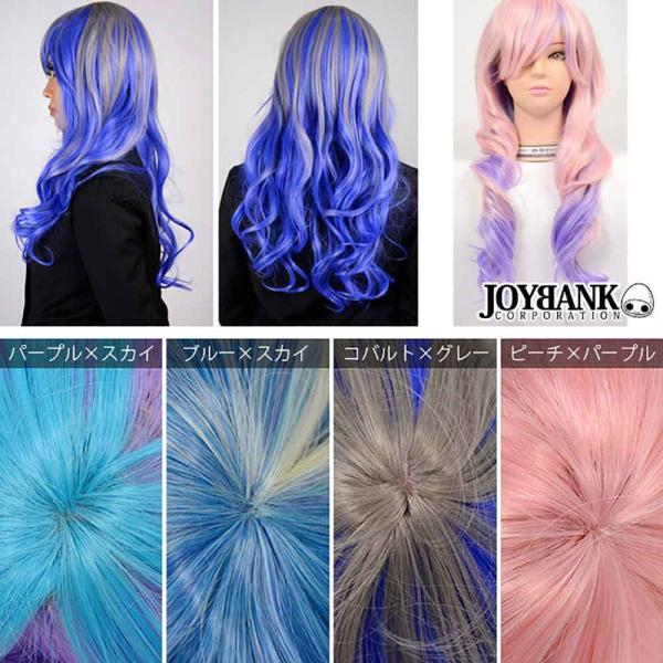耐熱ロングウィッグ ツートンカラー ロングヘア 交換無料 仮装
