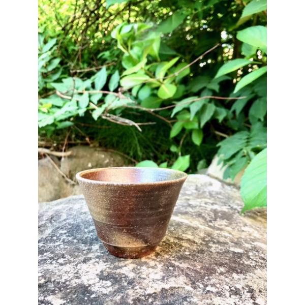 ق悢/ÌyRā@Rā@@{@@Mtg@v[g@蕨@@j@@@Jbv@Rbv@̂݁@@?