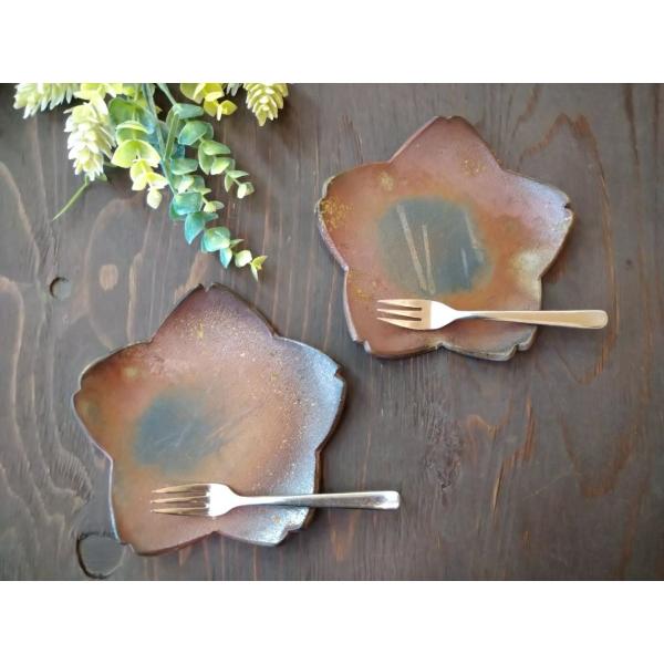 \[T[/ÌyRā@Rā@@{@@Mtg@LOi@v[g@蕨@@@@킢@M@M@\[T[