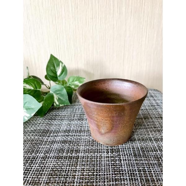 ہ@L/ÌyRā@Rā@@{@@v[g@j@蕨@@@Ē@@H@̂݁@Rbv