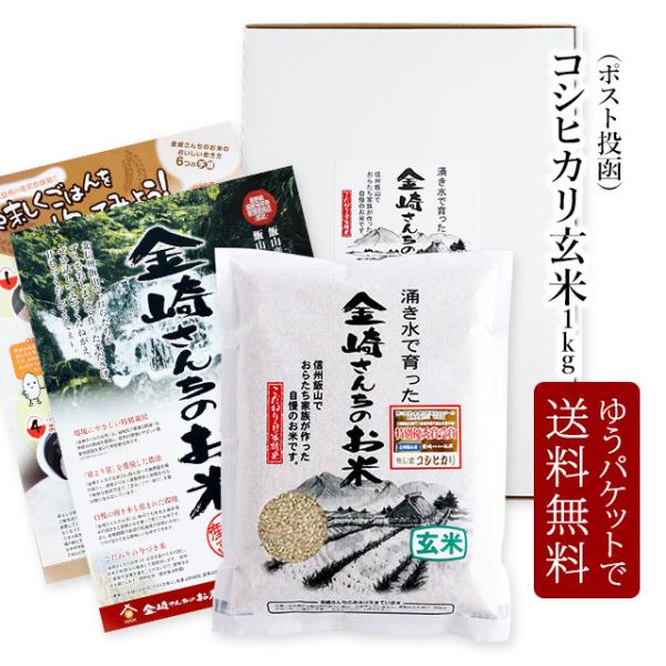 コシヒカリ玄米❤️20㌔ コシヒカリ 【最終売り尽くし！】米 令和6年 20kg 玄米20kg 新潟