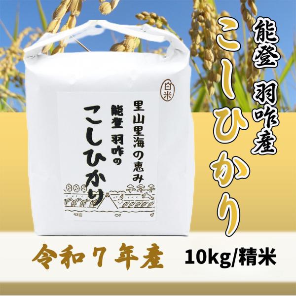 ≪いい道の駅 のと千里浜≫令和7年産 能登 羽咋市産 こしひかり 精米 10kg【ブランド米 能登 里山里海 日本海 白米 寿司 おこわ リゾット お取り寄せ 旨味】