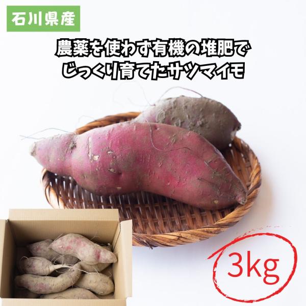 久保田ファームは、歴史ある大聖寺城跡の錦城山に見守られた地で、循環型農業に取り組んでいます。牛ふんや、お米の精製過程で出るもみ殻を発酵させた有機の堆肥を、時間をかけてじっくりと土に還します。日本海からの潮風を受けながら、この自然の恵み豊かな...