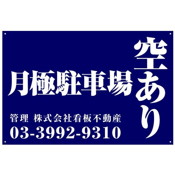 iNP-13L ɒԏ 90cm×60cm