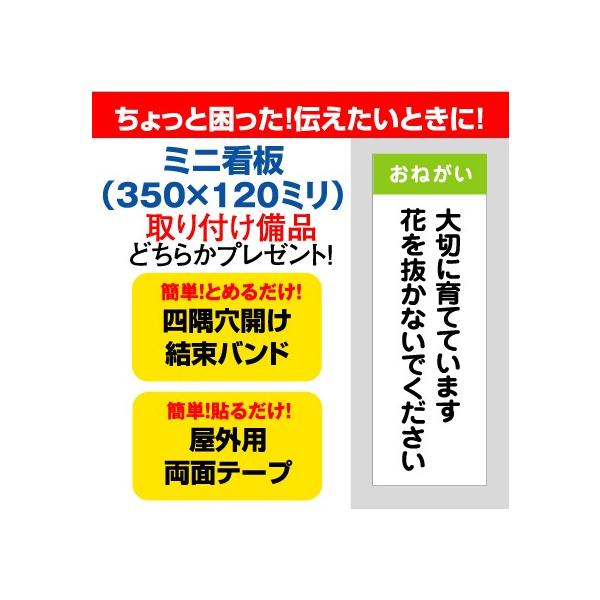 注意 危険 通学路 ミニ看板 おねがい 大切に育てています 花を抜かないでください 350 1mm Iinass0025 看板いいな ヤフー店 通販 Yahoo ショッピング