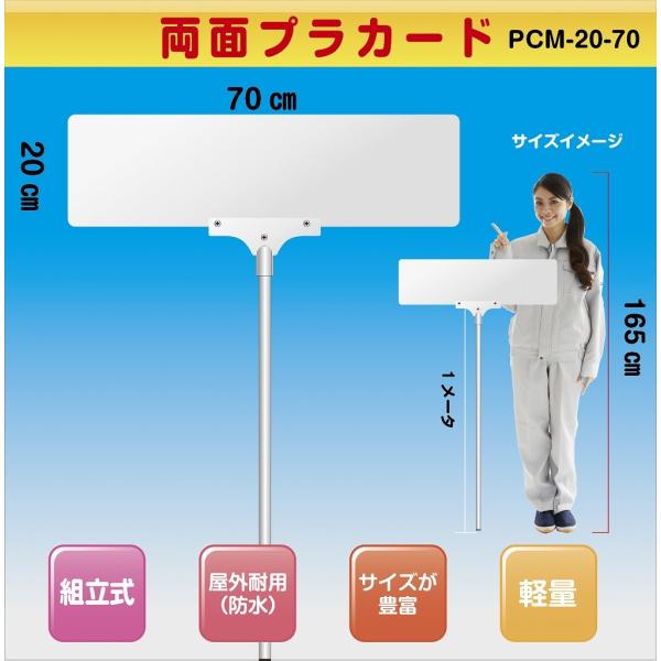 フラッグマン 【セクシーカード】レギュラーサイズ　両面 kanbankonbini_pcm-2070
