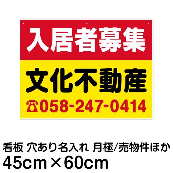 Ŕ ҕW ԏ sY Ǘ 45cm×60cm FNK-13B 10Zbg ^Cggݍ킹OK ꖳ