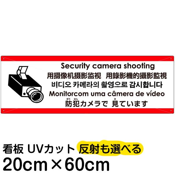 �Ŕ� �h�ƃJ�����Ō��Ă��܂� 20cm×60cm �p�� ������ �n���O���� �����ꖳ�� �C���X�g����