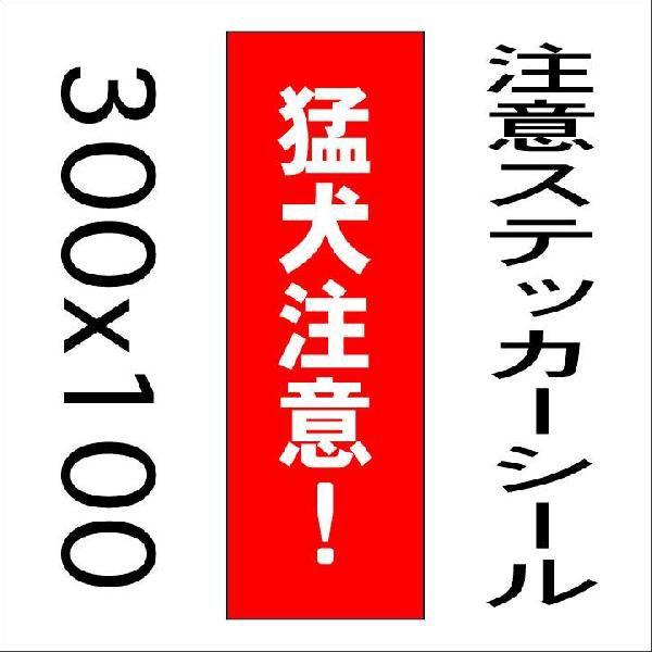 Ŕ ҌӁI@10cm30cm@XebJ[V[c2