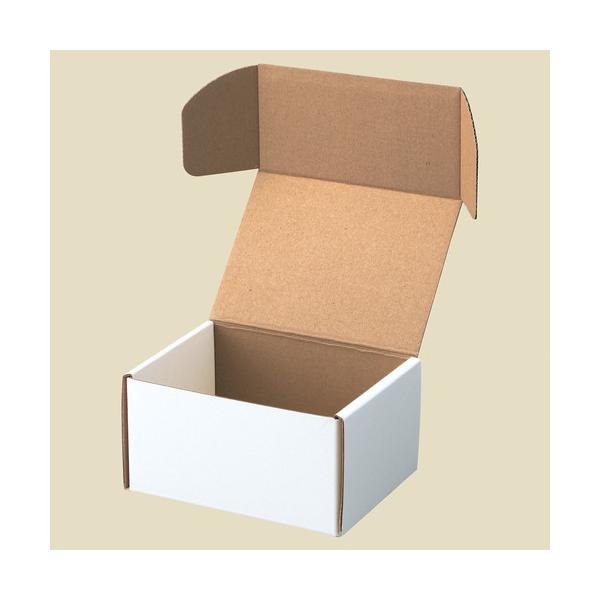 【送料込】BillkinPP Box Zx-1200-Lunch-Box-Making-