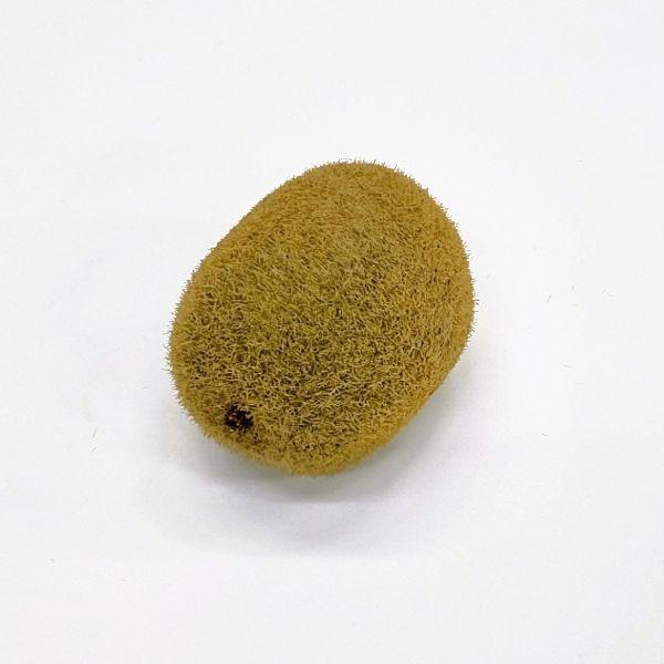 キウイ（フェイクフルーツ・フェイクフード・果物 食品サンプル）