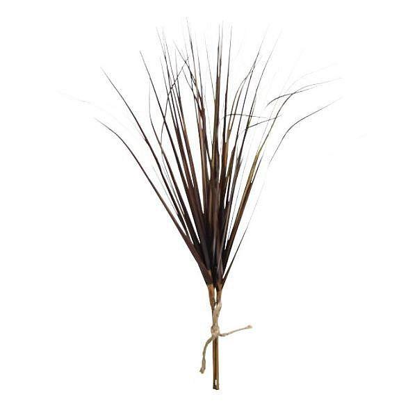 ベアグラス3本束。ブラウン。全長：約47cmカラー：ブラウン