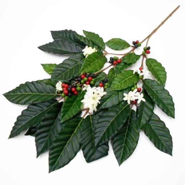造花 コーヒーの枝 葉（フェイクグリーン・人工観葉植物） : フラワー