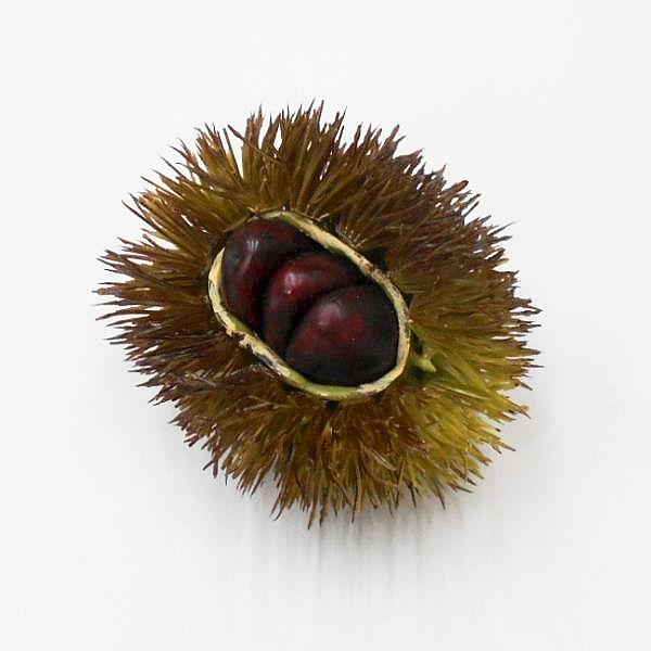フェイクの割れ栗（イガグリ）です。実が3個見えています。サイズ：約9cm当店で販売中の栗の枝、栗の実と合わせてお使い頂けます。作り物 くりの実 割れたクリ くりの実 いがぐり 毬栗 マロン 食品サンプル