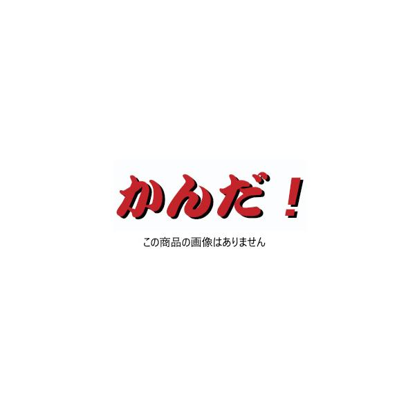 亀倉精機 コードレスポートパンチャー RF-C5B ワーク受けCA・CC用 RFC-11 CA