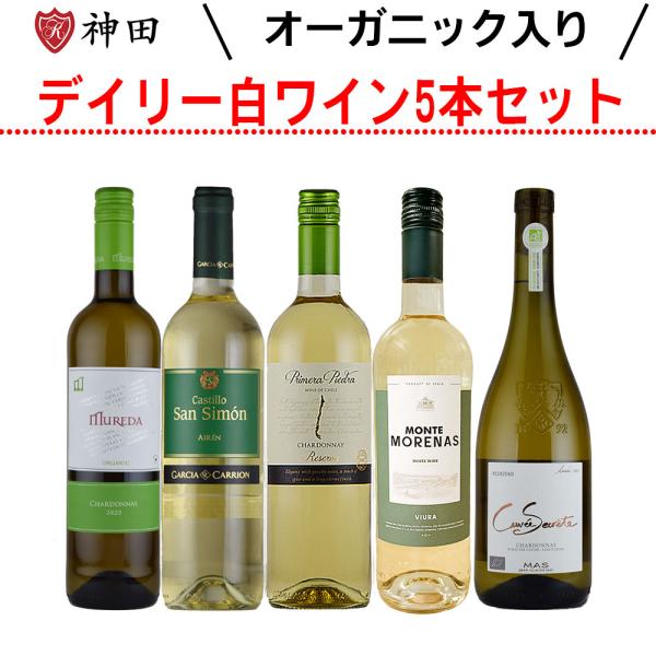 白ワインセット オーガニックワイン入り 辛口 5本 チリ スペイン