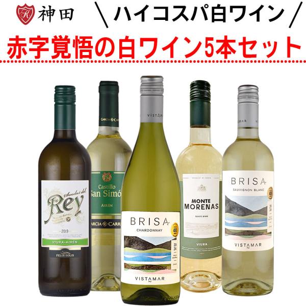 白ワインセット 辛口 ワイン 飲み比べ デイリーワイン 5本  スペイン チリ wine set お中元