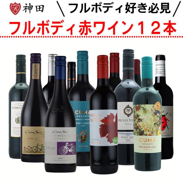 赤ワインセット 全てフルボディ 12本 飲み比べ オーガニック 赤ワインセット 全てフルボディ 12本 飲み比べ オーガニック