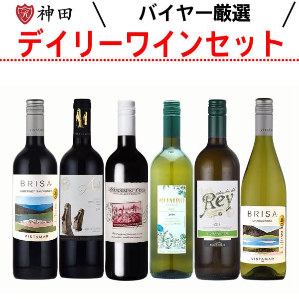 厳選 コスパ デイリー ワイン セット 赤 白 6本セット 飲み比べ wine