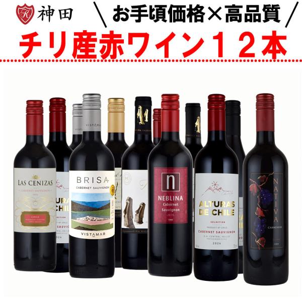 果実酒 赤ワイン 3点セット チリ産赤ワイン 12本 飲み比べセット 750ml×12本 バレンタイン : 神田