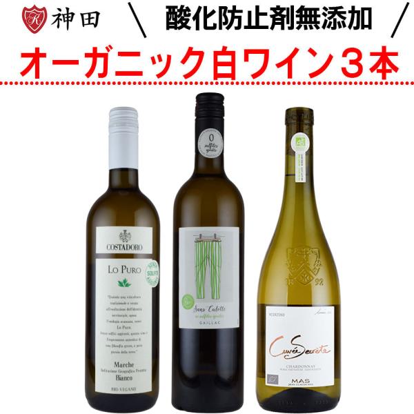 酸化防止剤 無添加 オーガニック 白 ワインセット ３本 フランス イタリア お中元 SO2無添加