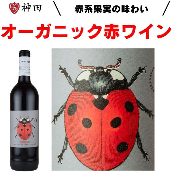 オーガニック ボデガヴェルデ ガルナッチャ シラー 赤 ワイン 金賞