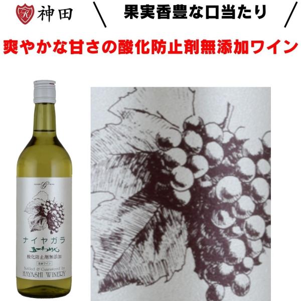 五一ワイン ナイヤガラ 酸化防止剤無添加 日本 ワイン 長野 やや甘口 白ワイン 720ml