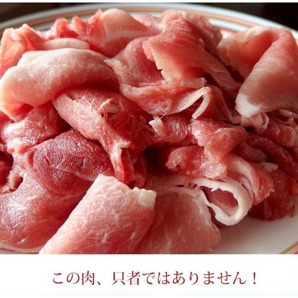 カナダポーク コマ切れ肉 豚ウデスライスコマ肉 2.0mm 1kg /【Buyee ...