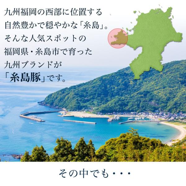 送料無料 糸島華豚 一頭買い セット Www Nlqp Com