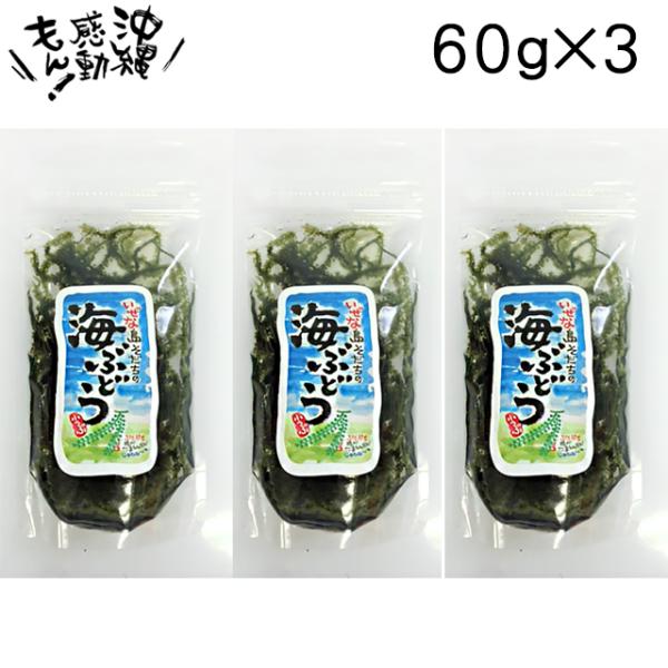 いぜな島育ちのプチプチ海ぶどうです。塩水パックですので常温でお楽しみいただけます。※開封後はお早めにお召し上がり下さい。