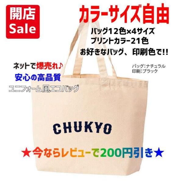 kandou-t-shirt_chukyo-bag
