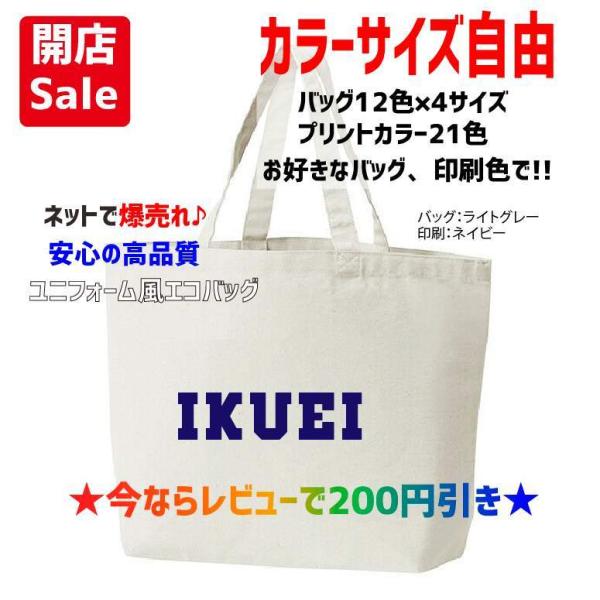 kandou-t-shirt_ikuei-bag