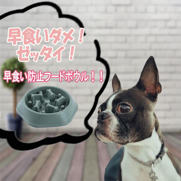 t[h{E H׉߂h~  GT Hh~  a H ybg L GT  hbO Lbg M ybg L ۈ X[t[h _CGbg